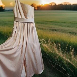 White by Vera Wang Blush V-Neck Halter maxi dress Size 8 ball gown